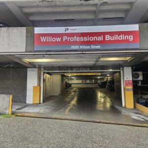 Willow Professional Medical