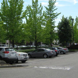 SurreyCentral BusinessPark 7495