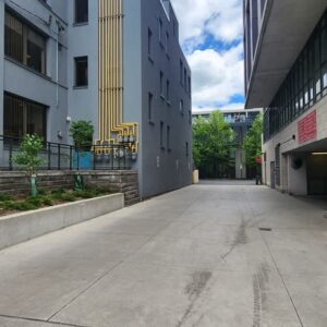 345 Carlaw